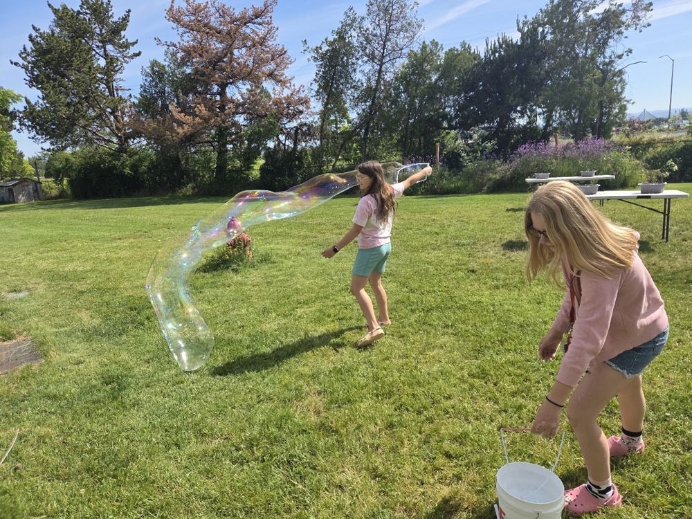 Students making a giant bubble outside on the grass