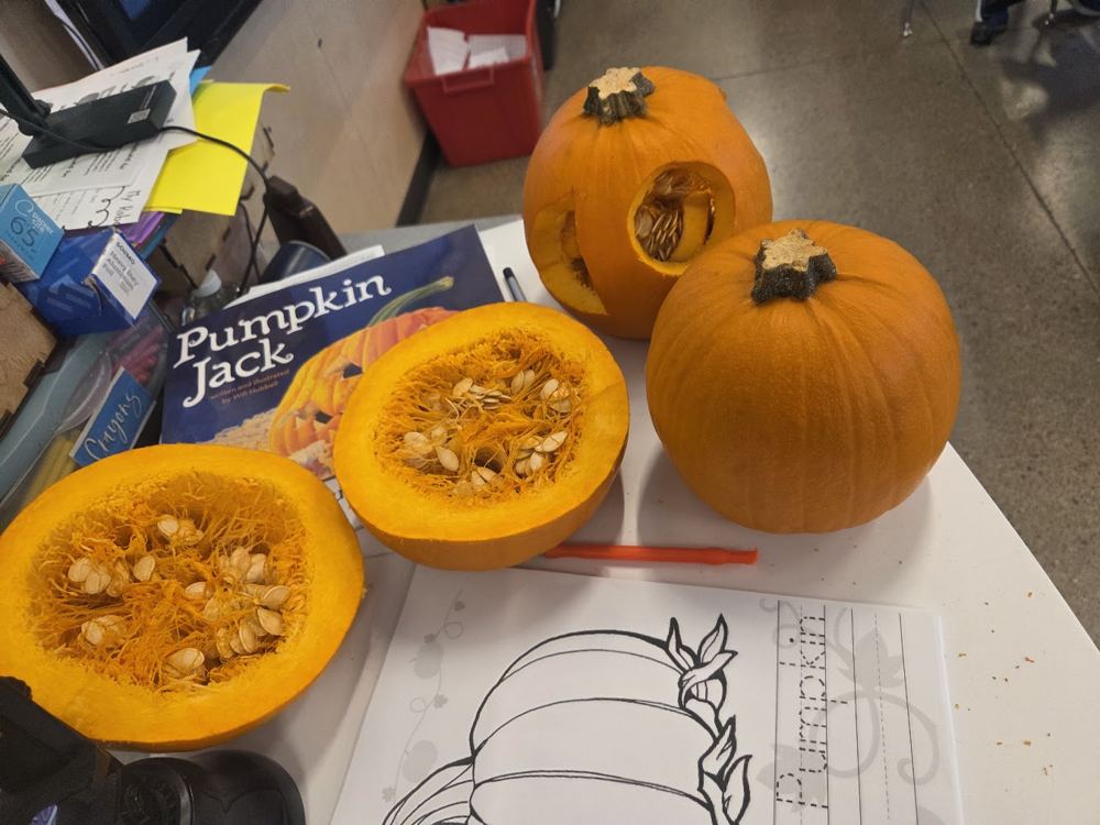 Pumpkins cut open to show seeds, next to the book Pumpkin Jack